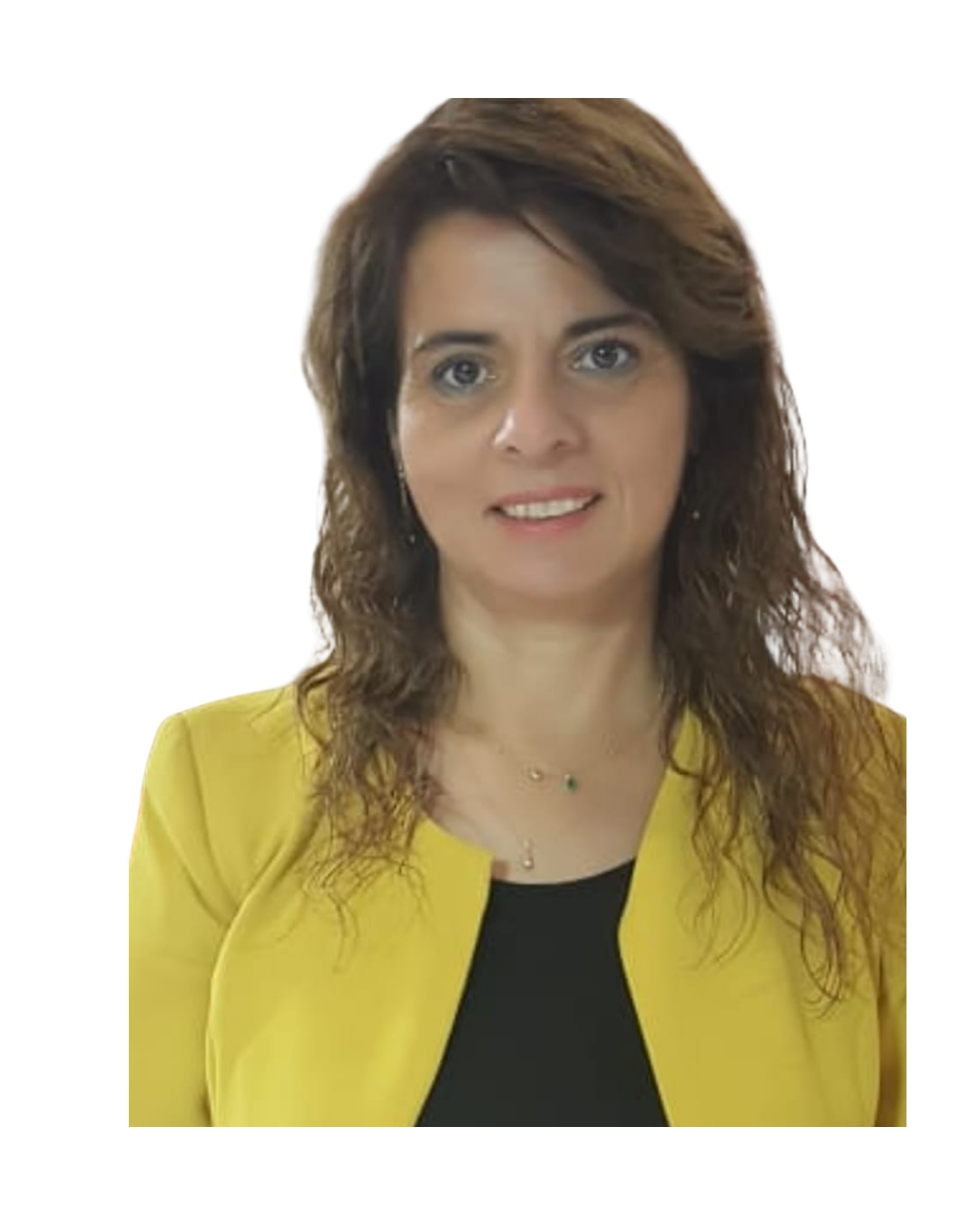 Öğr. Üyesi Dr. Aysel SARI